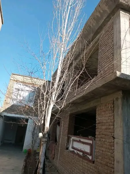 کور د پلورنې لپاره، 8 خونې، 470 m²، ده یعقوب، شیوکی (2)