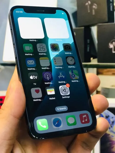 iPhone 12 Mini (2)