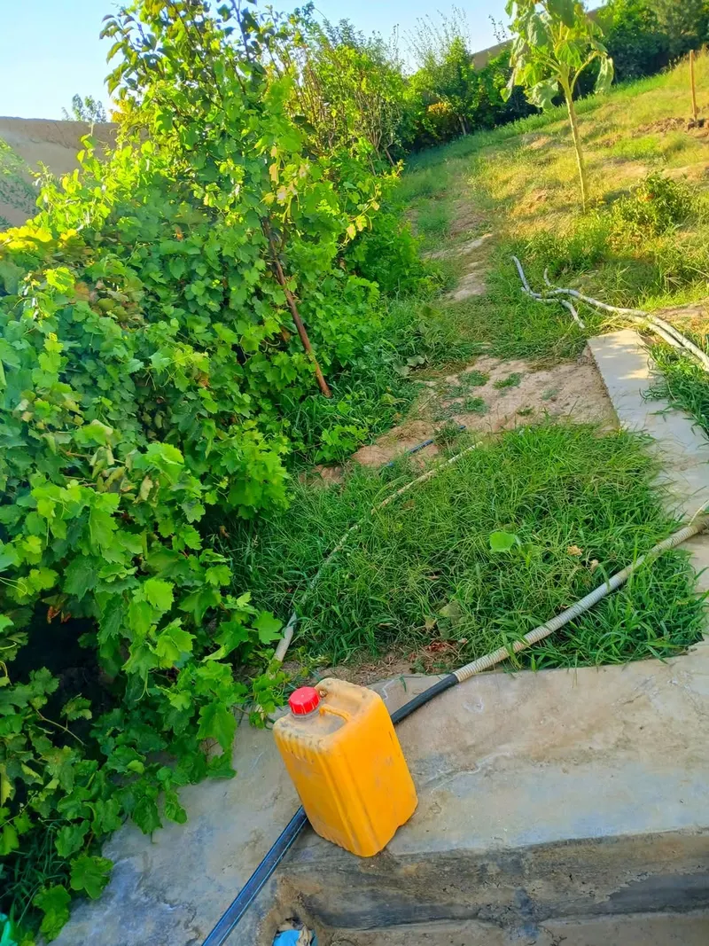 New garden for sale, 800 m², Deza, Guzara, Herat (2)
