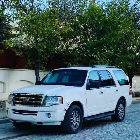 Ford 2008 (1)