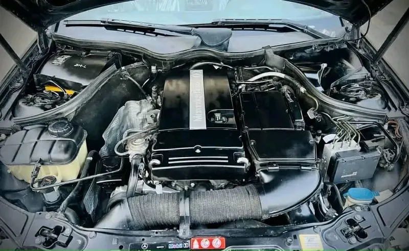 Mercedes-Benz 2005 (6)