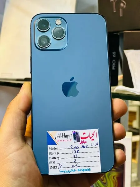 iPhone 12 Pro Max (1)