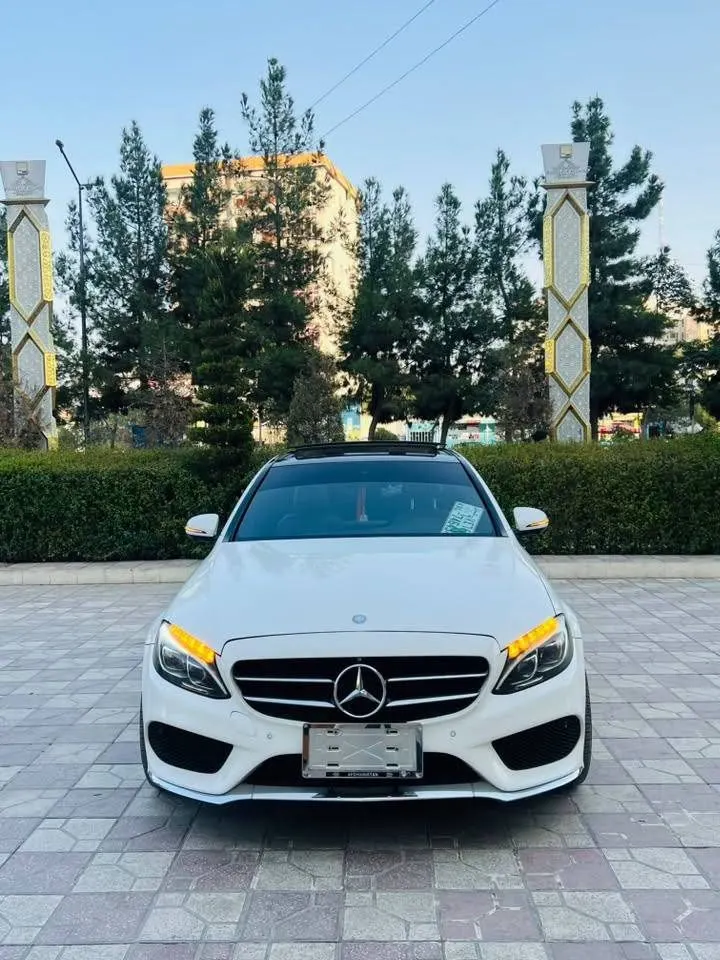 Mercedes-Benz C300 4Matic 2016 (2)
