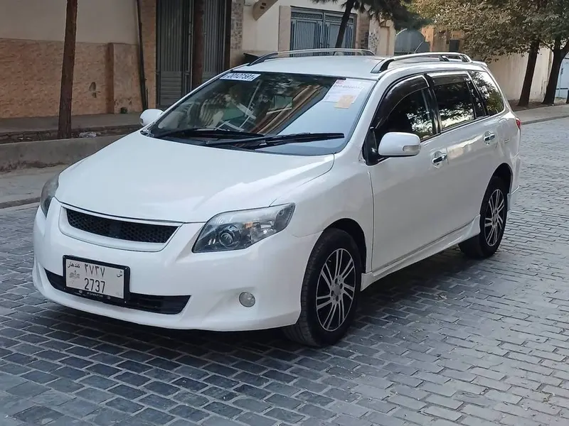 Toyota Fielder Axio 2009 (1)