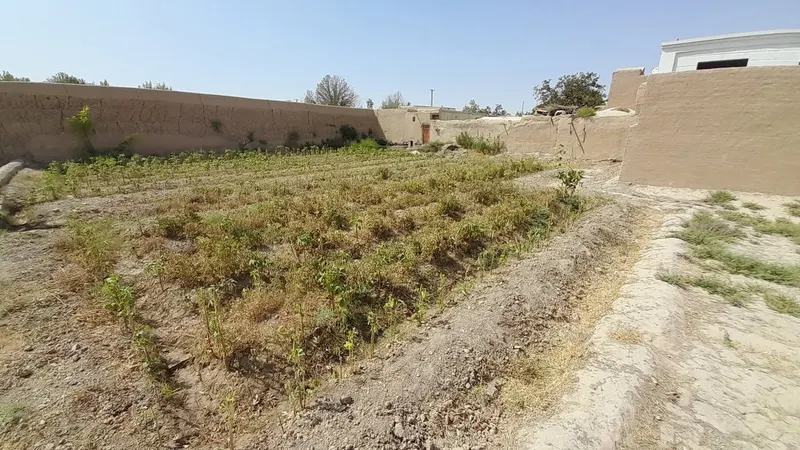 Land for sale, 300 m², Sherabad (2)
