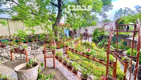 Leisure garden for sale, 16 biswa, near Paghman Bazaar (4)