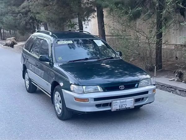 Toyota Fielder 1996 (1)