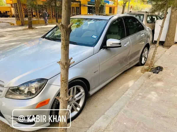 Mercedes-Benz 2010 (2)