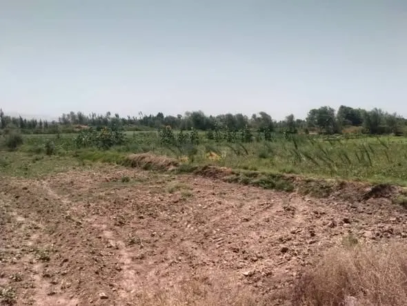 زمین زراعتی برای فروش، 10 جریب، با چاه و سولر، پل سوا، هرات (4)