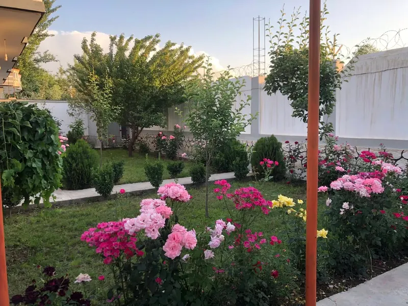 House for sale, 3 rooms, with separate guest house (3)