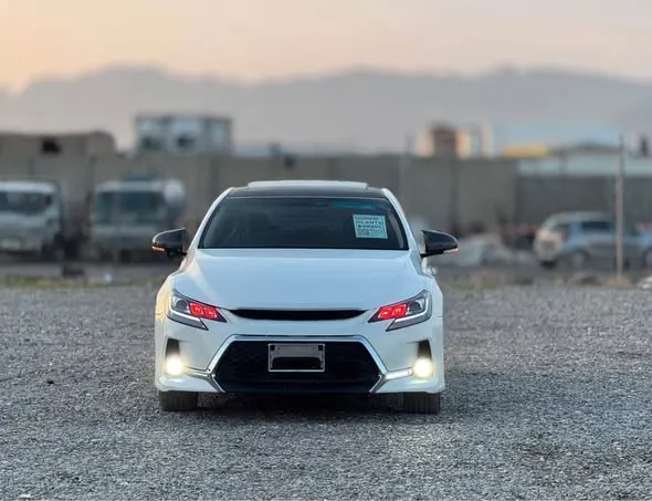Toyota Mark X 2010 (1)
