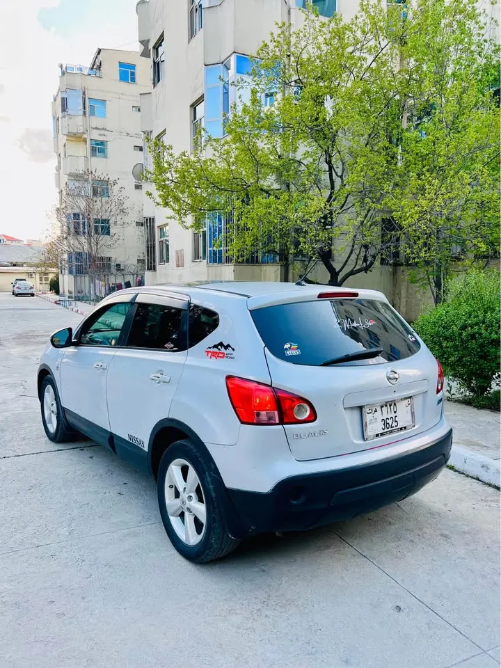 Nissan 2010 (3)