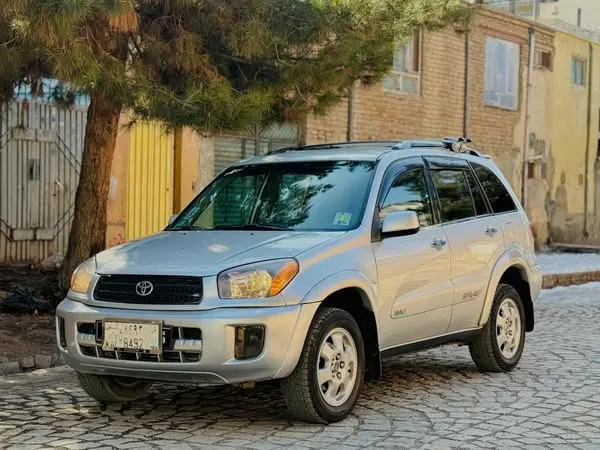 Toyota RAV4 2001 (2)