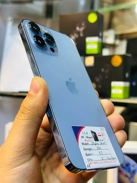 iPhone 13 pro max (2)