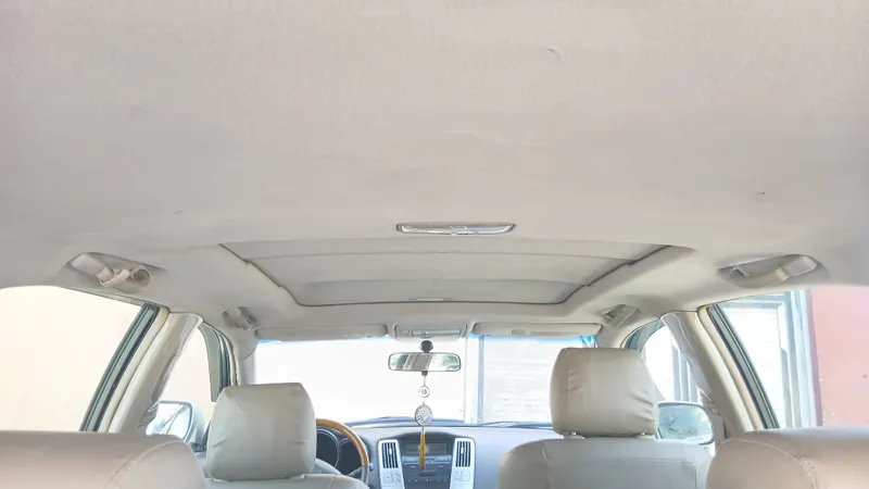 Lexus RX350 (6)