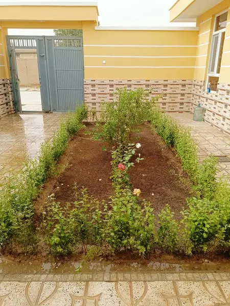 House for sale, 2 rooms, 120 m², opposite Maulana University, Mazar-i-Sharif (2)