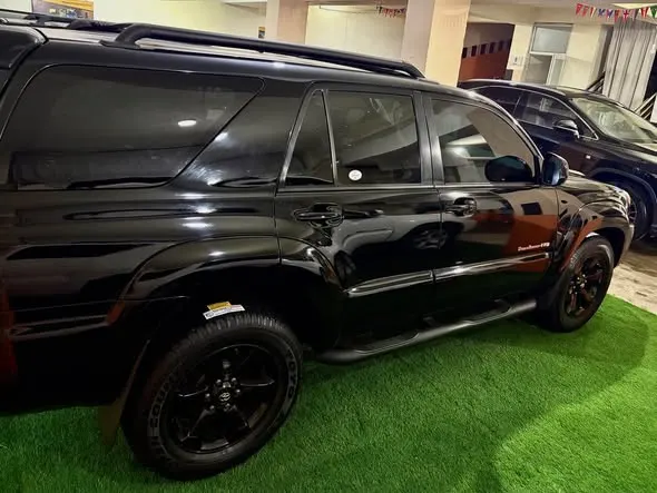 Toyota 4Runner 2008 (3)