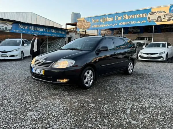 Toyota Fielder 2004 (1)