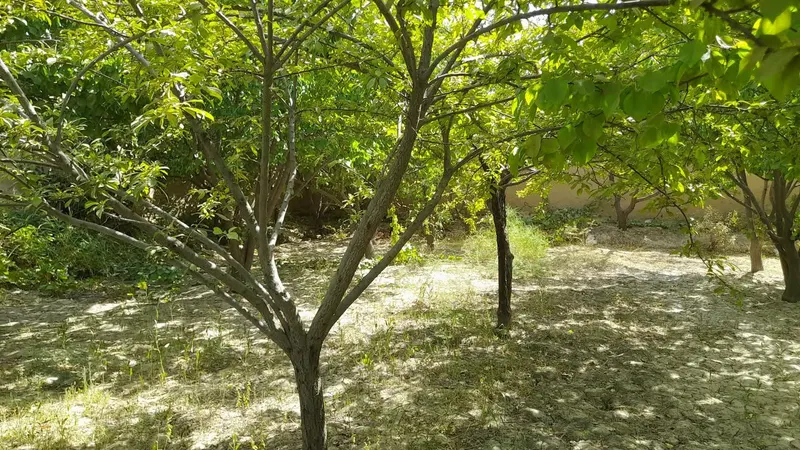 Land for sale, 300 m², Baba Yadgar, Mazar-i-Sharif (3)