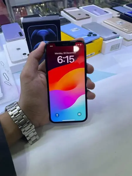 iPhone 12 (3)