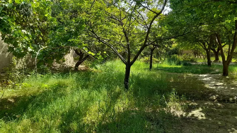 Land for sale, 300 m², Baba Yadgar, Mazar-i-Sharif (2)
