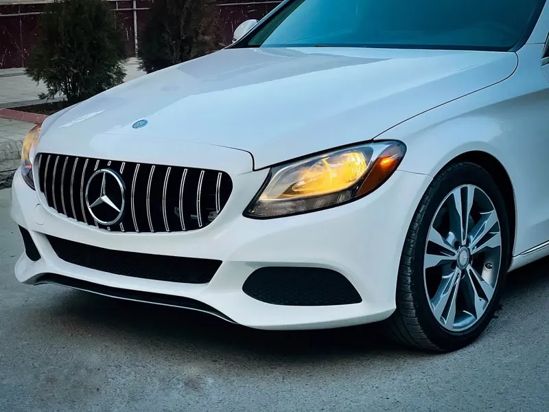 Mercedes-Benz 2015 (1)