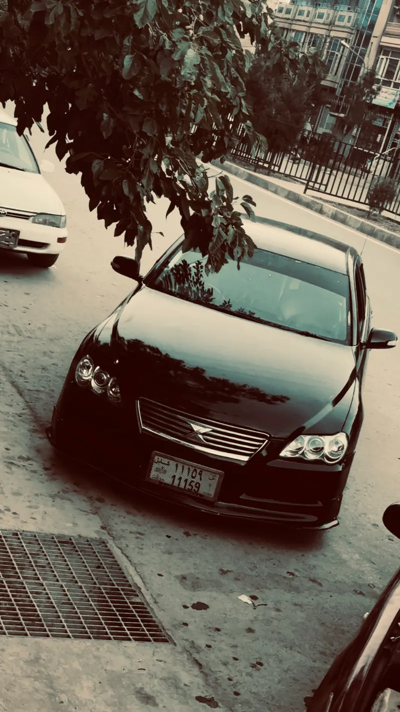 Toyota Mark X 2007 (1)
