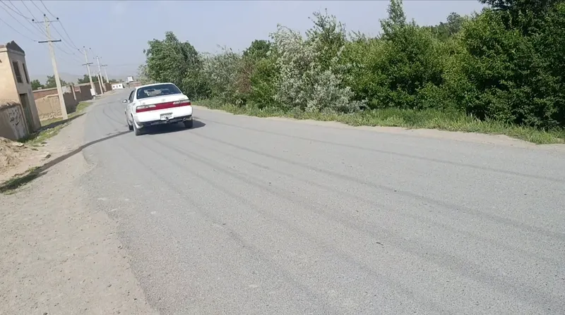 Apple orchard for sale, 6 jerib, Chehelten Karizak, Paghman (2)