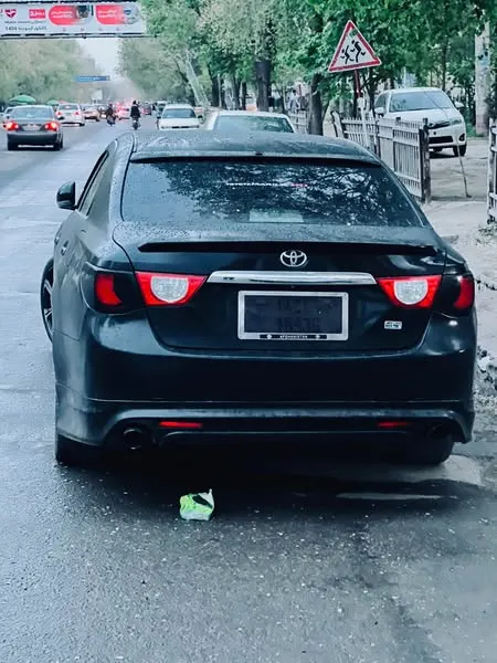Toyota Mark X 2010 (2)