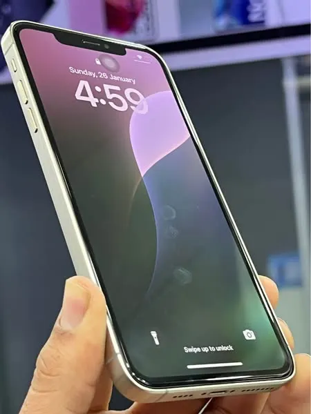 iPhone XS Max (2)