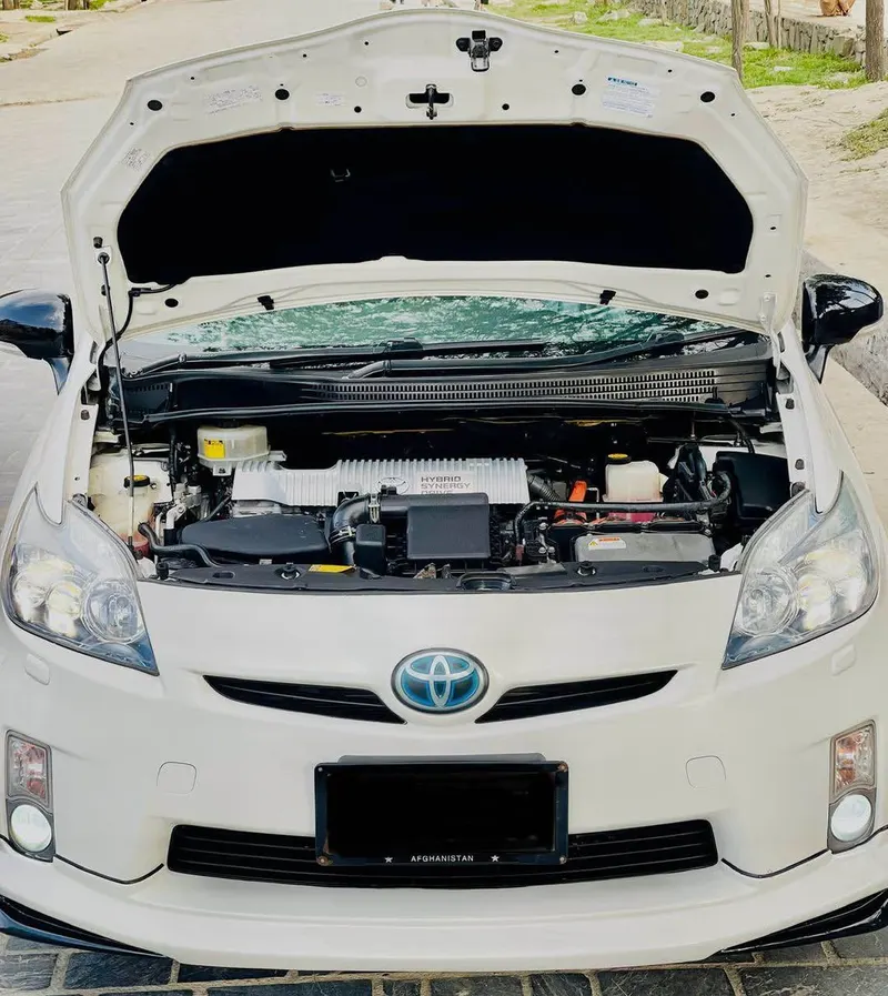 Toyota 2010 (2)