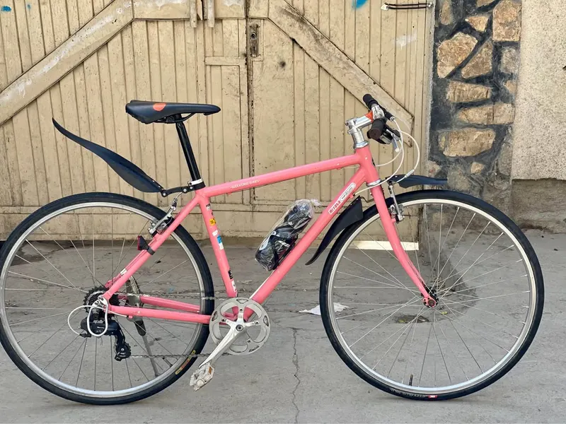 Bicycle For Sale (1)