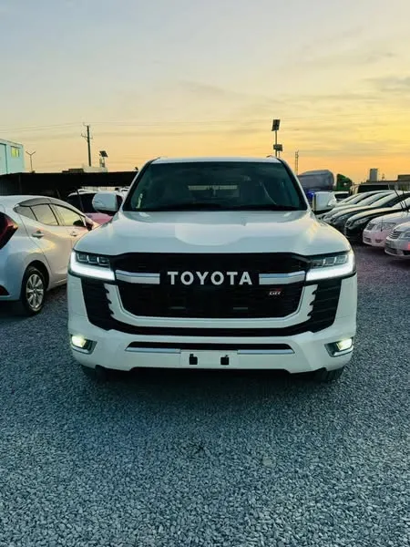 Toyota Land Cruiser 2010 (1)