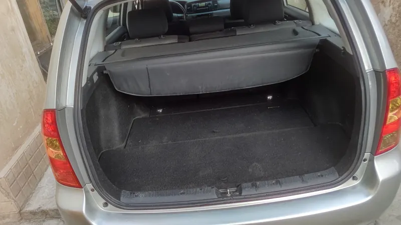 Toyota Fielder 2006 (8)