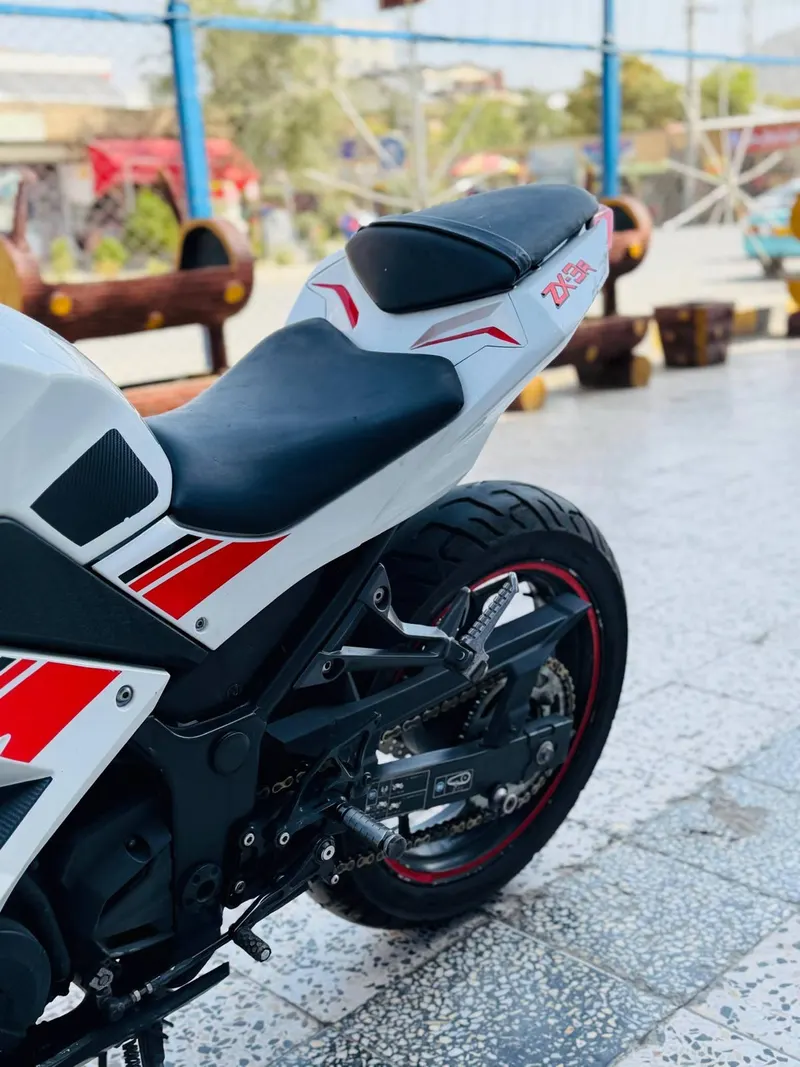 Kawasaki Ninja 300 2019 (6)