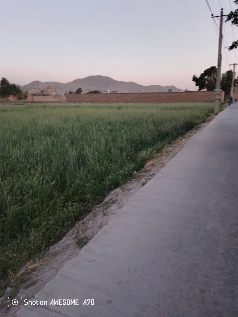 Land for sale, 37 biswa, Nau Burja Road, Chehelsotoon, Kabul (2)