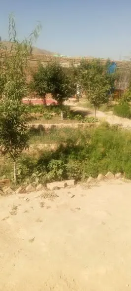 Land with fruit trees for sale, 9 biswa, Deh Sabz, Kabul (1)