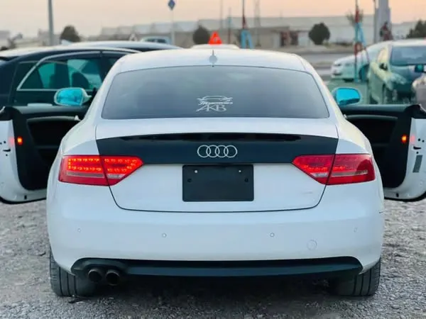 Audi 2010 (3)