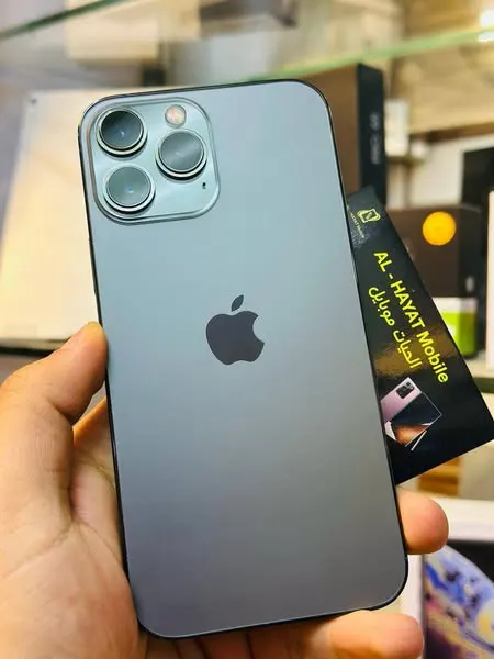 iPhone 13 Pro Max (1)
