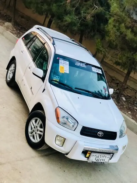 Toyota RAV4 Family 2001 (2)