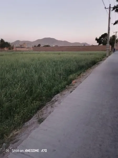 Land for sale, 37 biswa, Nau Burja Road, Chehelsotoon, Kabul (2)