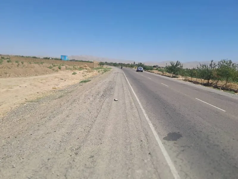 New vineyard for sale, 3000 m², Naudari village, Qaisar, Faryab (3)