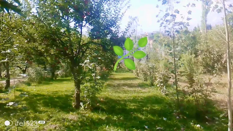 Garden for sale, 10 biswa, near Qasr Tapa, Paghman (3)