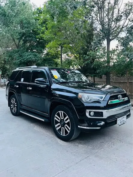 Toyota 4Runner 2010 (2)