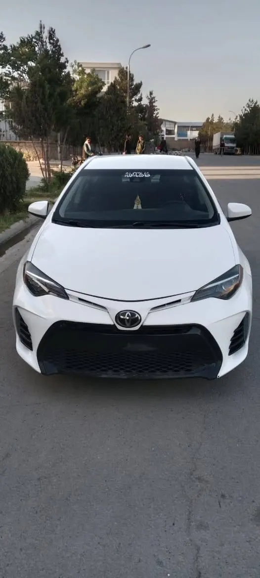 Toyota 2019 (1)
