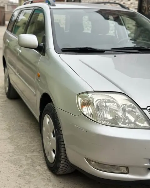 Toyota Fielder 2004 (2)