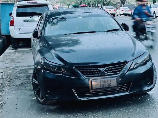 Toyota Mark X 2010 (1)