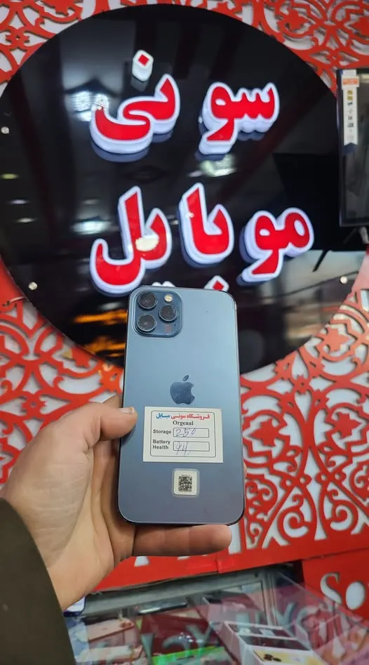 iPhone 12 Pro Max (1)