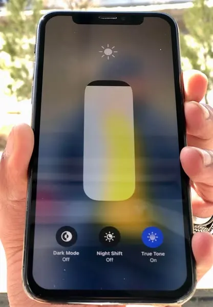 iPhone X (2)