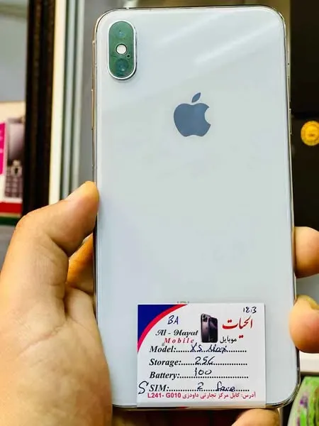 iPhone Xs Max (1)